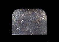 藏品(貝類化石群)的圖片